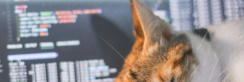 tai-bui-wjK7o1j7F-Y-unsplash